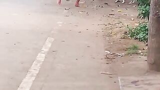 A small child about to be bitten by a dog.