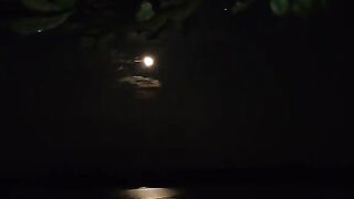 Mid night view