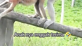 Kenapa ini terjadi guru
