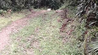 Urso #branco aqui onde #moro ta #louco