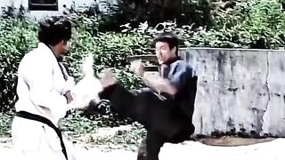 Bruce Lee 8