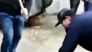 funny videos 🤣🤣