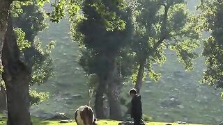 Negri dongeng di India