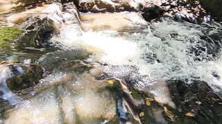 Natureza 27