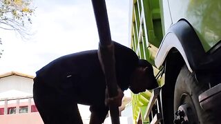 Semangat kerja nya