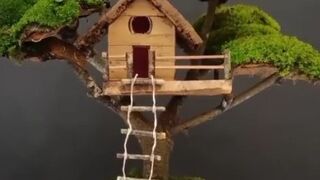 Here’s the process of building a cool treehouse!