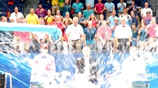 Cats' Swimming Prowess At The Olympics