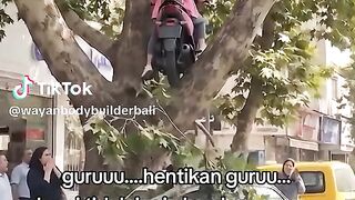 Motorcycle stuck in a tree