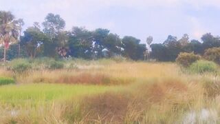 Peaceful Village Sunset 🌅 | Beautiful Rural Nature, Fields & Water | Relaxing Countryside