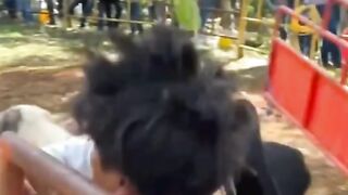 Compilation of Funny yet Terrifying & Heart-Pounding Moments!