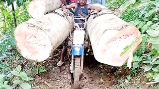 Extreme Motorcycle Log Transport in the Jungle | Dangerous Heavy Load Challenge