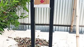Pasang lampu hias taman