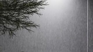 Rain Soothes Soul