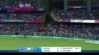 Cricket