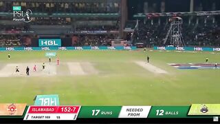 Cricket