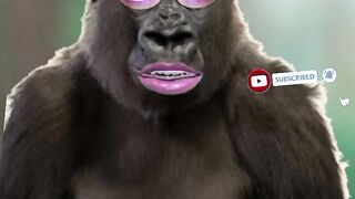 jokes comedy shorts video ????????????????