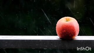 Falling rain
