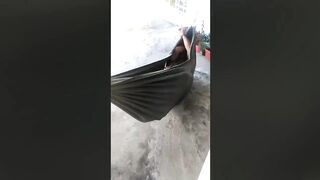 Attempts Were MADE ???? | Funniest Videos of the Month