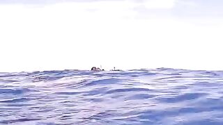 Nice fish