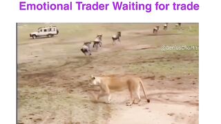 Pro Trader And Local Trader in between Different