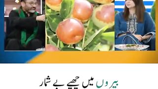 بیرون کے فوائد