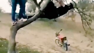 entertainment and funny video 2023