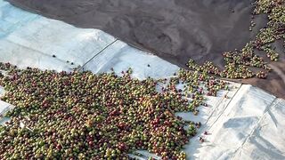 Where Coffee Begins ☕️