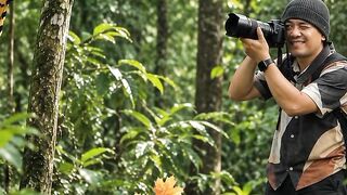 Rare Tropical Bird Spotted in the Rainforest | Incredible Wildlife Moment Caught on Camera