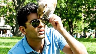 Squirrel Steals a Man’s Sunglasses
