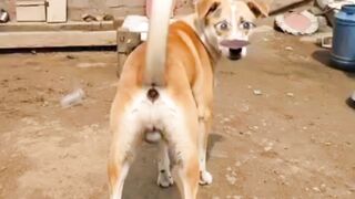 Kuta Ka Anda