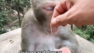 Murid yg kurang Ajar 🤣🤣