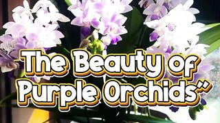 Stunning Orchid in Full Bloom 🌸 | Nature’s Hidden Beauty