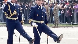 Fuerza Aérea De Chile