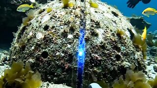 Divers Discover a Mysterious Light Beneath the Ocean… 😳🌊
