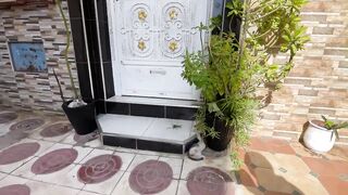 The mother cat is very friendly and loves to approach us, unlike her shy kittens.