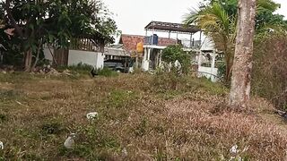 Vidio semak semak