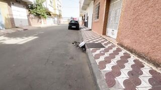 This stray cat was shy at first, but it soon warmed up to us and showed us affection.