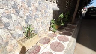 The joy of stray cats when they are fed and treated with love and care.