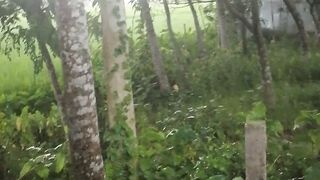 হঠাৎ বৃষ্টি 2