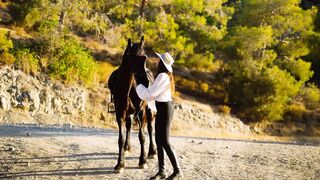 Elegant Female Rider and Brown Stallion Enjoying Golden Sunset