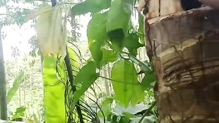 Beehive harvest