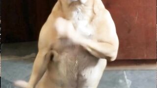 Faça você também