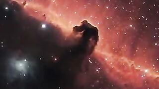 The Mysterious Horsehead Nebula