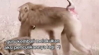 Guru semakin melenceng 🤣🤣🤣