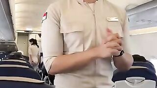 #flightattendant #automobile #cabincrew.mp4