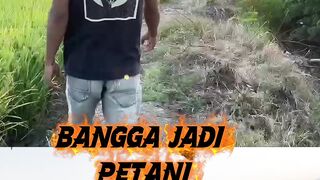 Petani muda 3