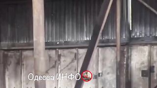 Росия терорист