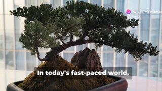 Unbelievable Indoor Zen Garden Ideas That Will Instantly Wipe Away Your Stress!