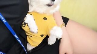 Jari tengah yang lincah