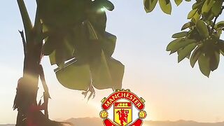 King MU 2